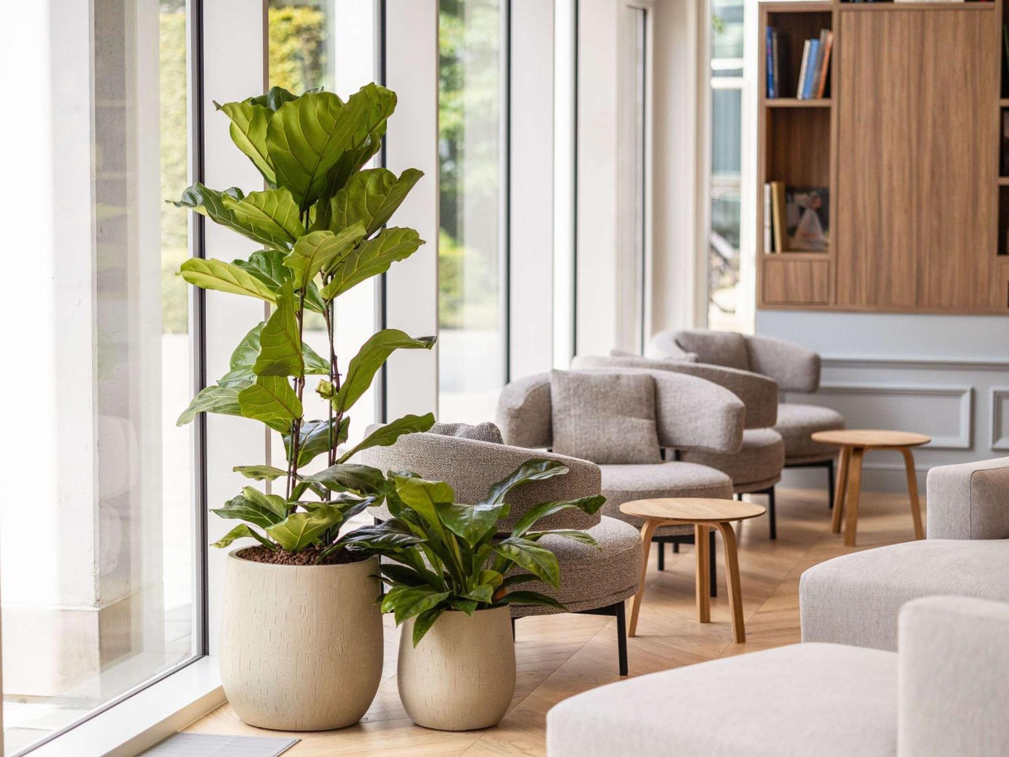 Novotel Brugge Centrum Ngoại thất bức ảnh